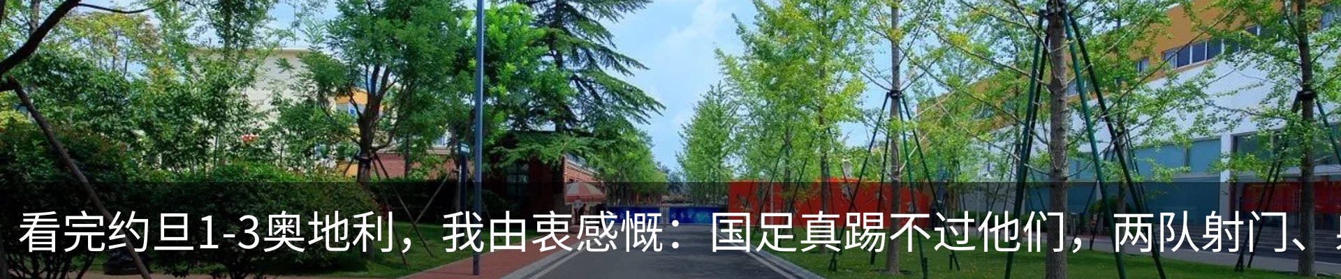 资讯动态